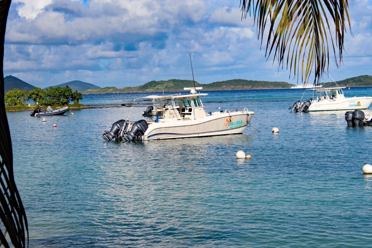 boats in cruz bay